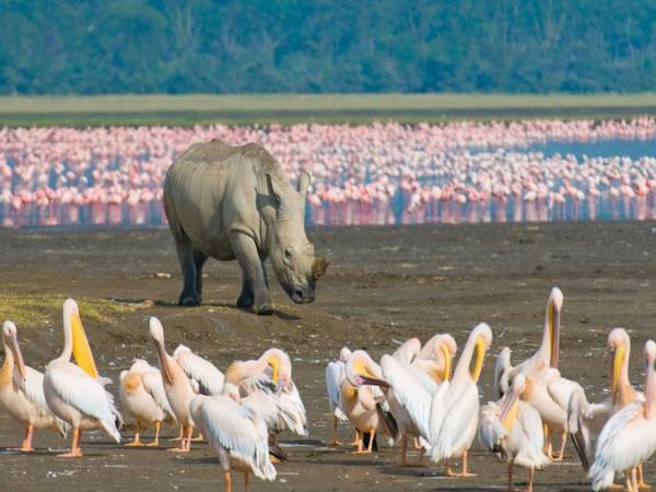 East Africa classic safari tour