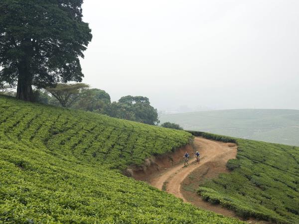 Malawi self drive holiday