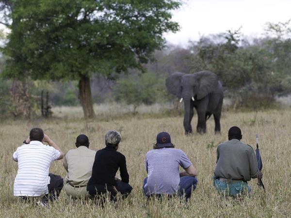 Malawi self drive holiday