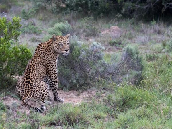South Africa vacation