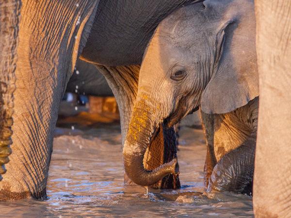 Namibia self drive and Botswana vacation | Responsible Travel