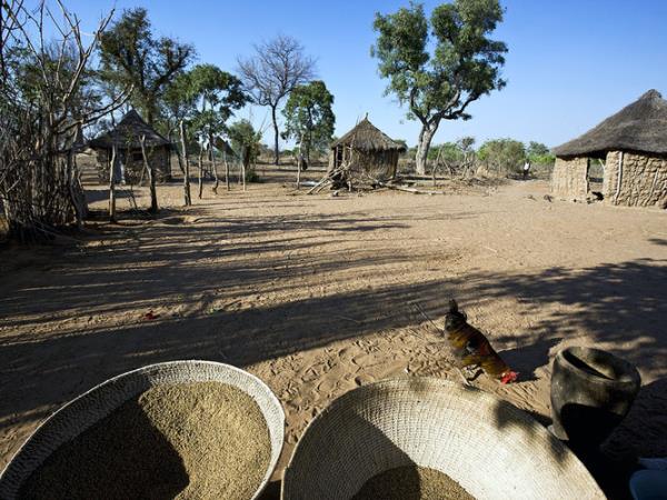 Namibia self drive and Botswana vacation