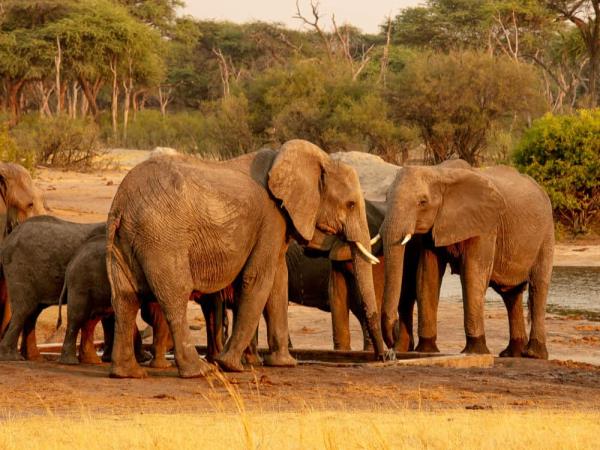 Zimbabwe tailor made vacation