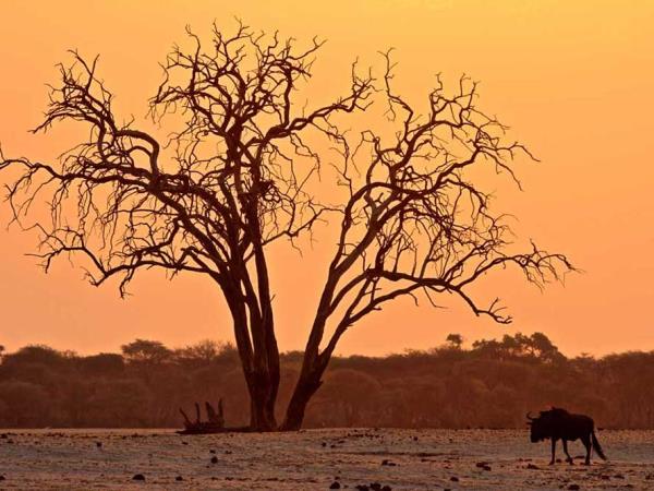 Zimbabwe tailor made vacation