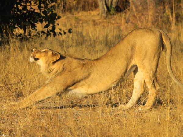 Zimbabwe tailor made vacation