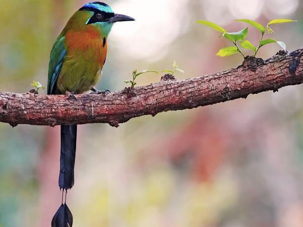Nicaragua tailor made adventure vacation