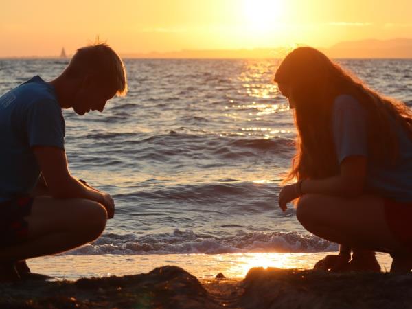 Turtle conservation in Greece