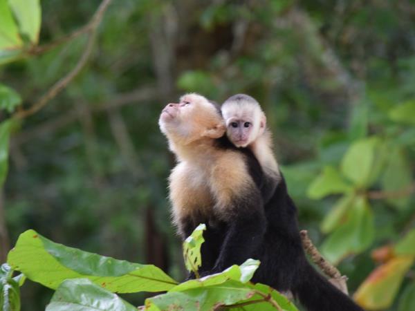 Best of Costa Rica tour