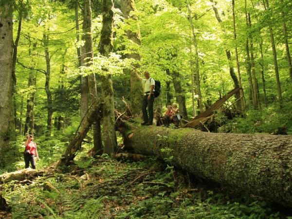 Self guided trekking vacation in Montenegro