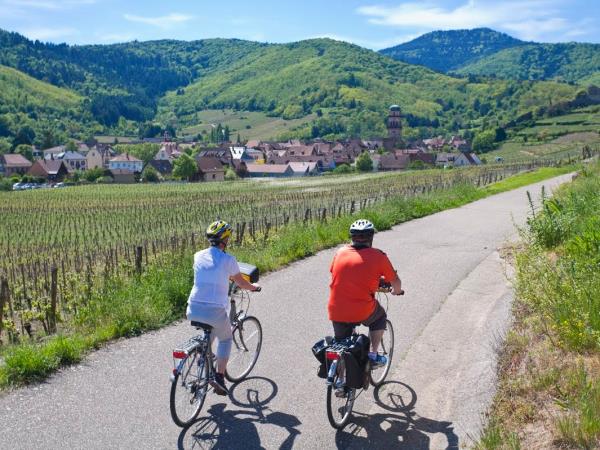 Alsace cycling vacation, France