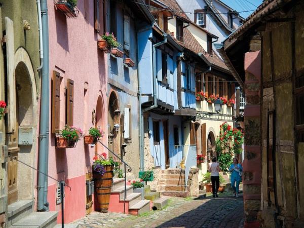 Alsace cycling vacation, France
