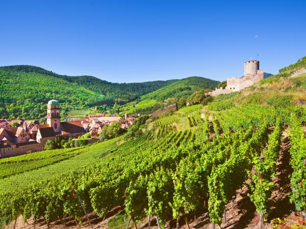 Alsace cycling vacation, France