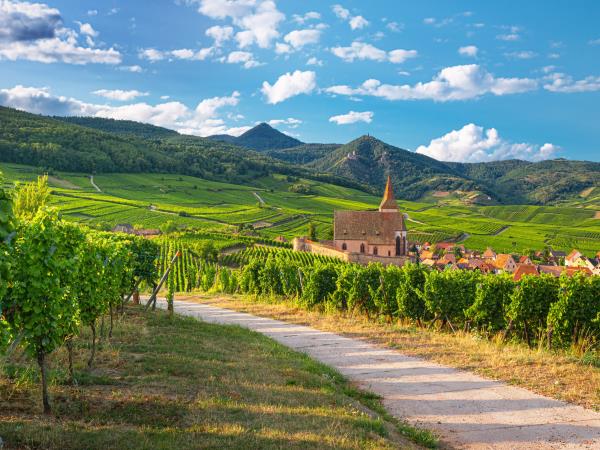 Alsace cycling vacation, France