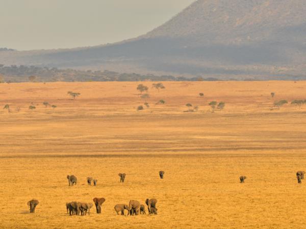 Uganda and Tanzania luxury safari 
