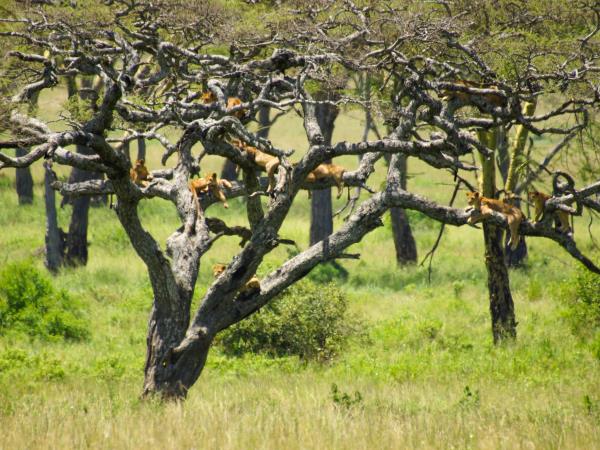 Tanzania tour with Kilimanjaro day trek