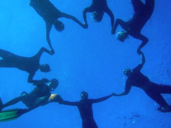 South Africa marine conservation diving vacation