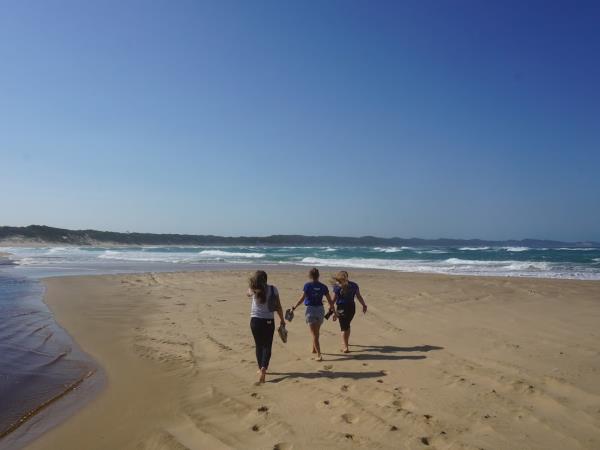 South Africa marine conservation diving vacation