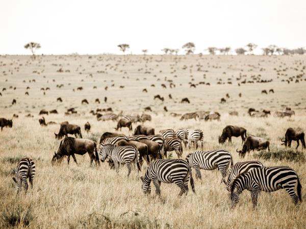 Tanzania tour with Kilimanjaro day trek