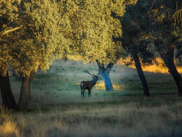 Segovia cycling vacation, Spain