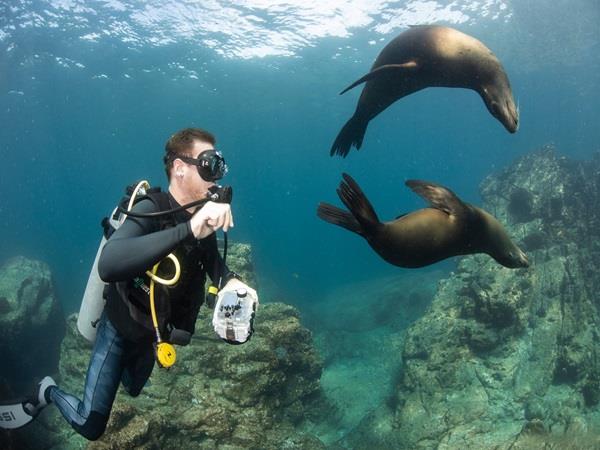Baja wildlife vacation in Mexico