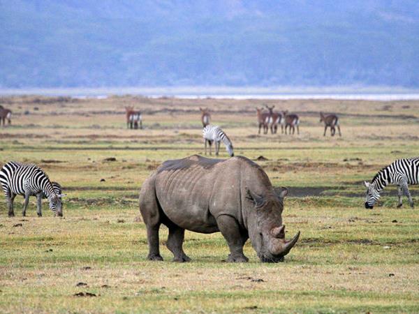 Best of Tanzania tailor made vacation