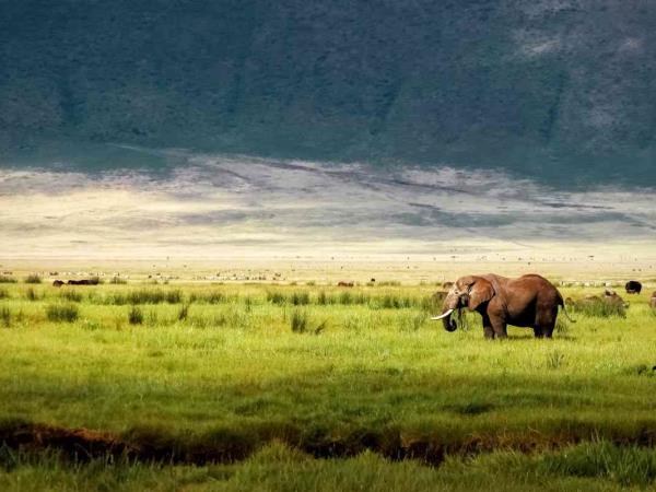Best of Tanzania tailor made vacation