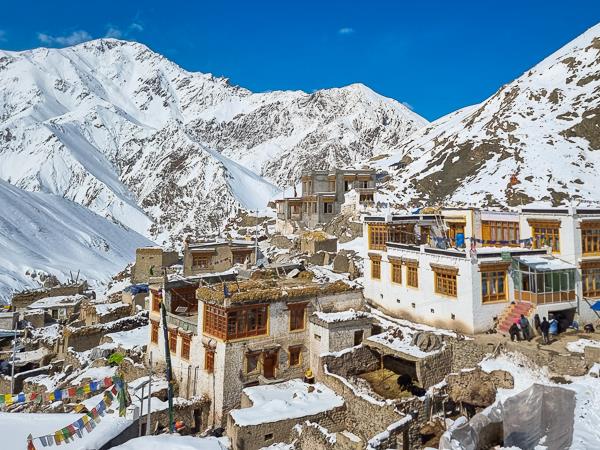 Ladakh snow leopards & festivals photography tour 