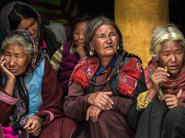 Ladakh snow leopards & festivals photography tour 
