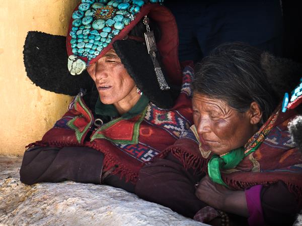 Ladakh snow leopards & festivals photography tour 