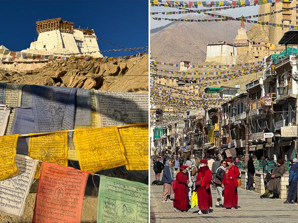 Ladakh snow leopards & festivals photography tour 
