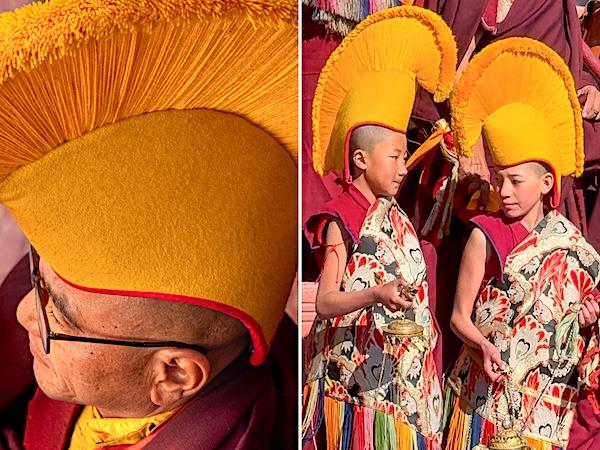 Ladakh snow leopards & festivals photography tour 