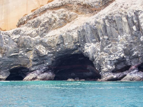 Saint Helena nature and culture tour