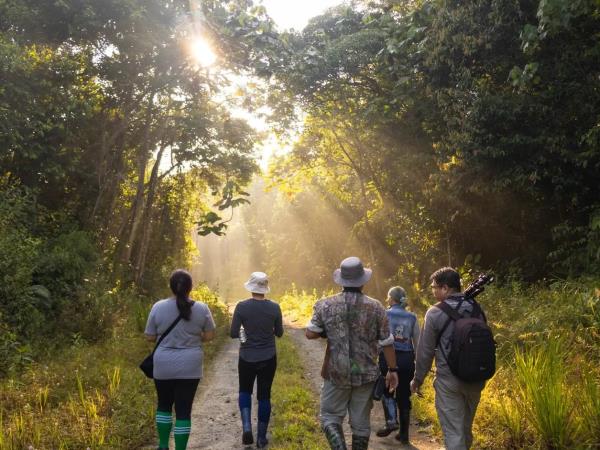 Borneo river and jungle wildlife adventure