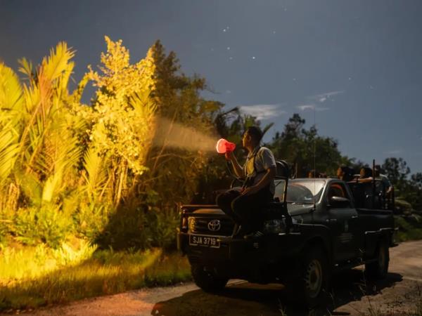 Borneo river and jungle wildlife adventure
