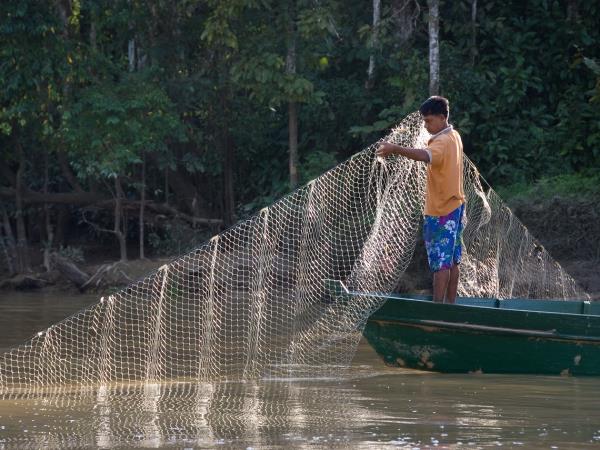 Borneo river and jungle wildlife adventure