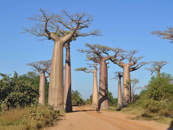Eastern Madagascar small group tour