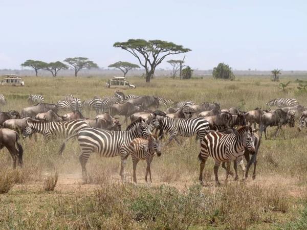 Tanzania national park vacation, off the beaten path