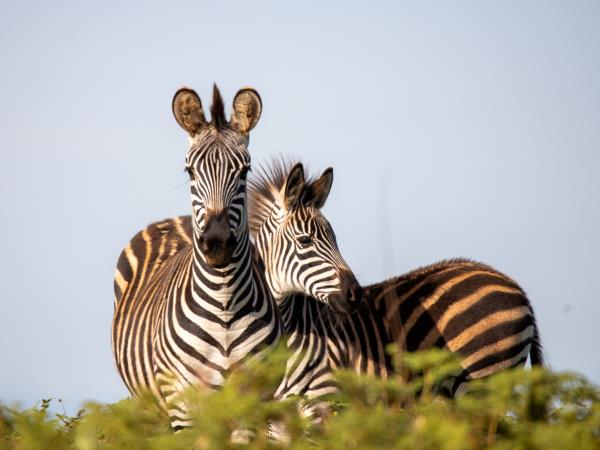 Malawi highlights tour, tailor made