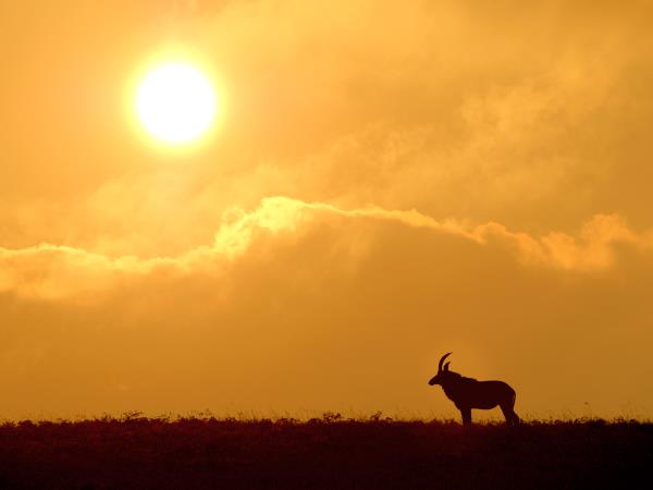 Malawi highlights tour, tailor made