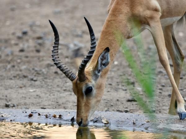 Malawi highlights tour, tailor made