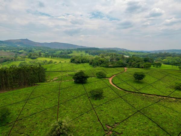 Malawi highlights tour, tailor made