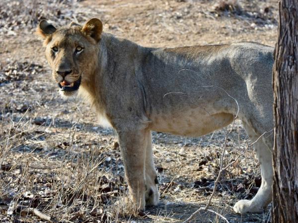 Malawi highlights tour, tailor made