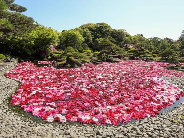 Japan & South Korea cruise, 2026