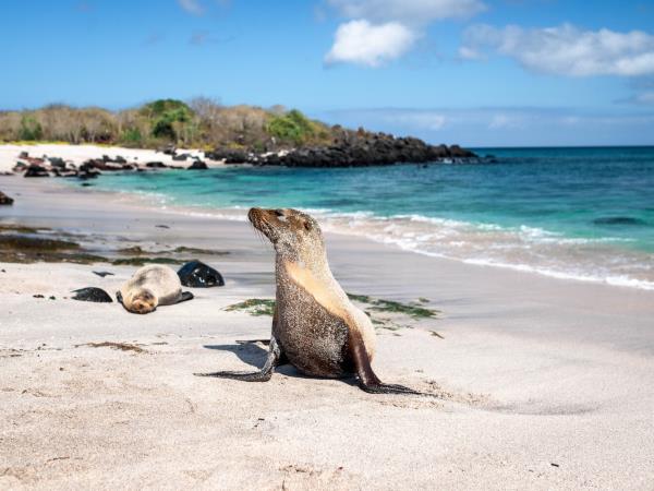 Ecuador & Galapagos vacation for blind travellers