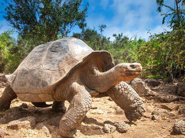 Ecuador & Galapagos vacation for blind travellers