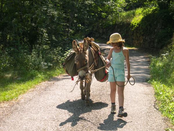 Family walking vacations with a donkey, France 