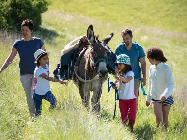 Family walking vacations with a donkey, France 