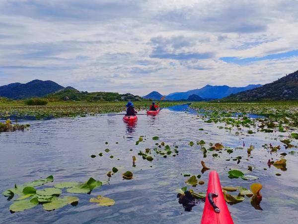 Canoeing and kayaking vacation in Montenegro, Lake Skadar