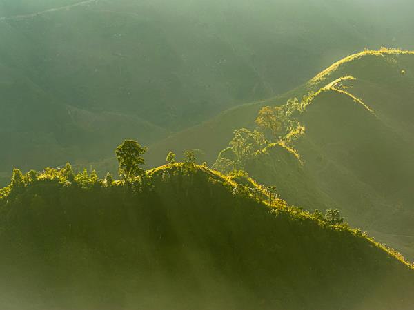 Assam and Nagaland photography tour, India