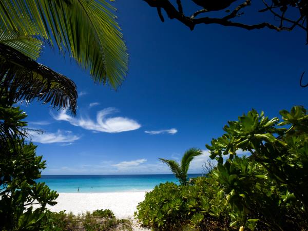 Seychelles premium sailing cruise
